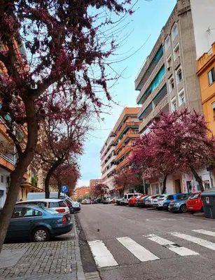 El barrio de los alrededores o un barrio cerca de este apartamento