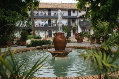 Jardín al aire libre en Oasis en el centro de Sevilla