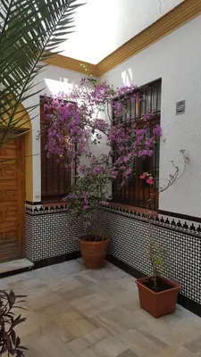 Jardín al aire libre en Casa Típica Cordobesa