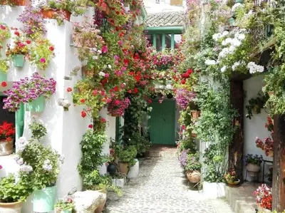 Jardín al aire libre en La Casa de la Costurera
