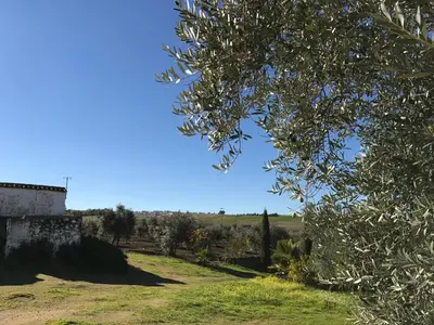 Paisaje cerca of this country house