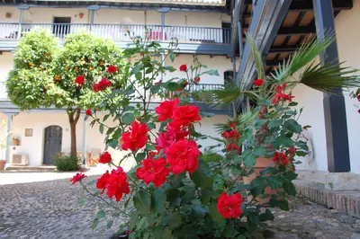 Jardín al aire libre en Luxury Apartment Plus Ultra