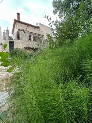 Jardín al aire libre en Spacious House Zambra + Pool