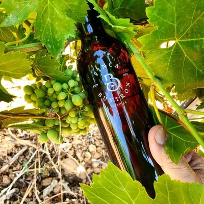 Bebidas en Bodega Boutique Finca Buytrón