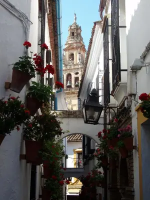 Edificio en el que se encuentra la casa o chalet