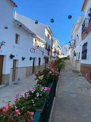 El barrio de los alrededores o un barrio cerca de este apartamento
