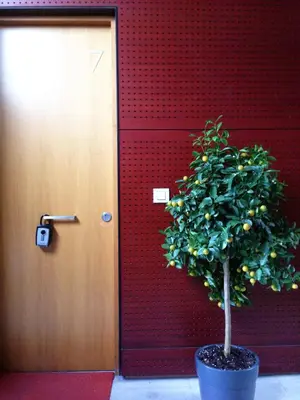 Plano de Precioso Apartamento con Parking en Pleno Centro