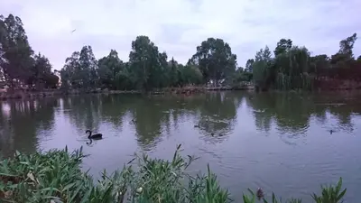Vista de un río cerca de este albergue