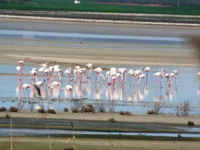 Plano de Andalusian Countryside Stay