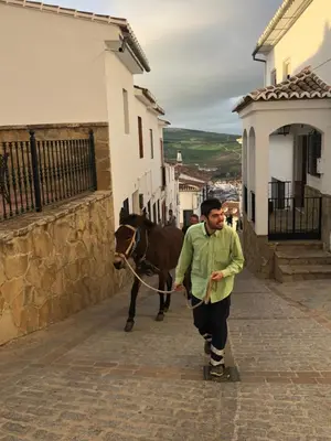 Montar a caballo en el apartamento o alrededores