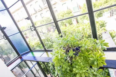 Jardín al aire libre en Pensión Dulces Sueños