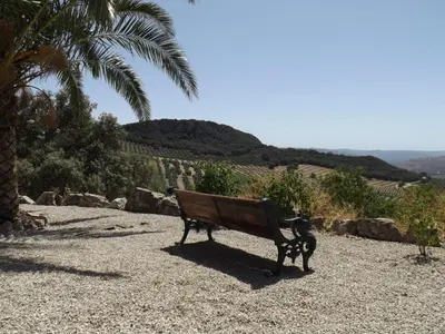 Paisaje cerca de esta casa o chalet