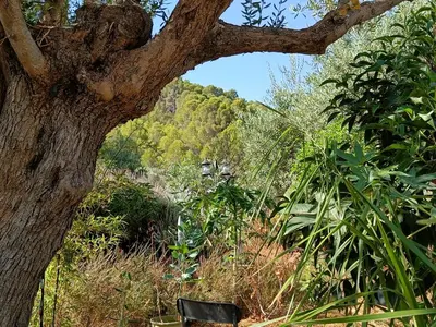 Paisaje cerca de este apartamento