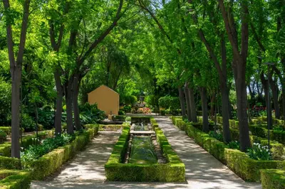 Jardín al aire libre en Cortijo Torre De La Reina