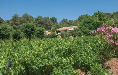 Jardín al aire libre en Lovely Home In Constantina, Sevilla