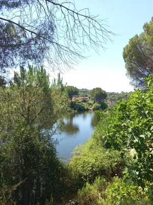 Paisaje cerca de esta casa o chalet