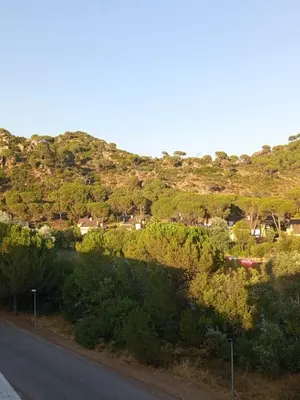 Paisaje cerca de esta casa o chalet