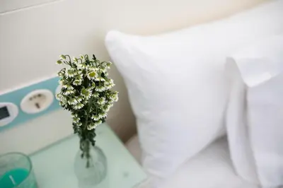 Cama o camas de una habitación en La Boutique Puerta Osario