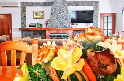 Una televisión o centro de entretenimiento en Casa Rural El Olmo