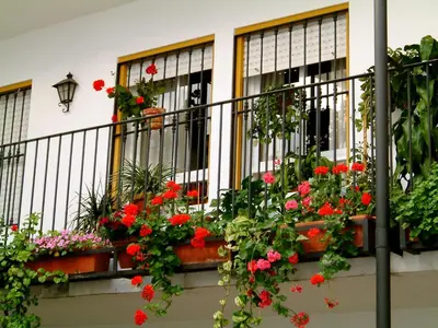 Jardín al aire libre en RentalSevilla San Clemente