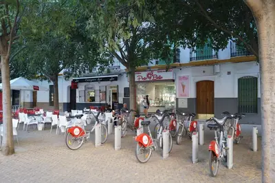 Montar en bicicleta en Atico con terraza en Alameda de Hercules o alrededores
