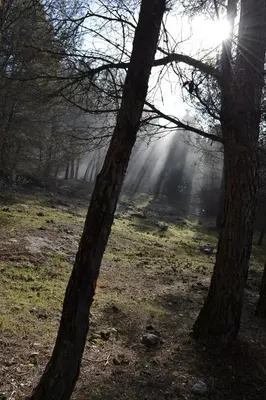 Paisaje cerca de este apartamento
