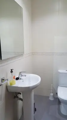 Un baño de Eduardo Lucena 5, Flamenco