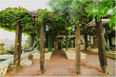 Jardín al aire libre en Cortijo Rural Español ¡Ideal para desconectar!