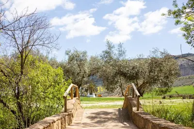 Paisaje cerca de este hotel