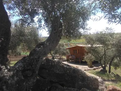 Paisaje cerca of this country house