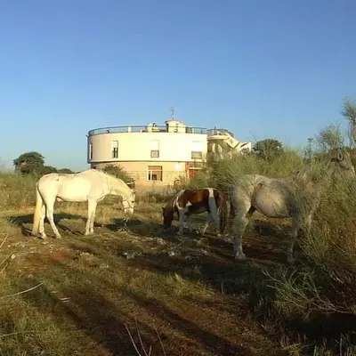 Hotel Paraje La Lambra