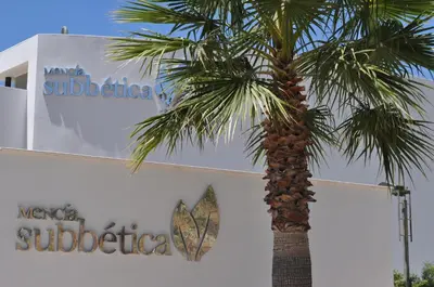Plano de Hotel Mencia Subbética