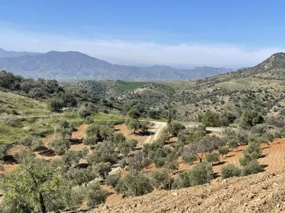 Paisaje cerca de este bed & breakfast