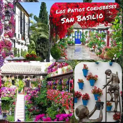 Jardín al aire libre en Tati flat - 