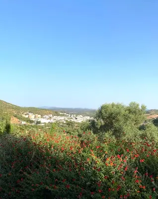 Paisaje cerca de este apartamento