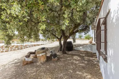 Jardín al aire libre en Casa Rural El Ventorrillo