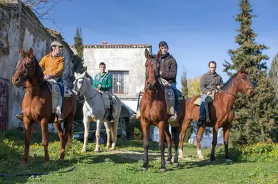 Animales en the country house o alrededores