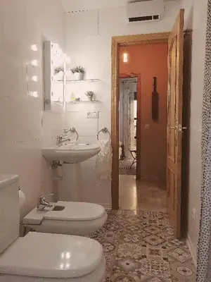 Un baño de Ziza