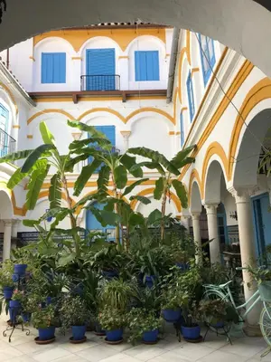 Jardín al aire libre en La Casa en el Centro