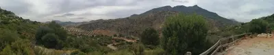 Paisaje cerca of this country house