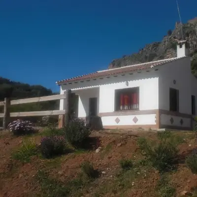 La Solana de turón. La coscoja.