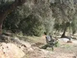 Jardín al aire libre en Casas Rurales Cortijo la Cañada