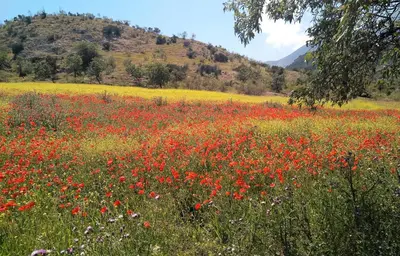 Paisaje cerca de este albergue