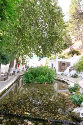 Jardín al aire libre en vivienda turistica Fuente Zagrilla II