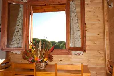 Jardín al aire libre en Apartamentos Paraje San Gines