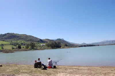 Paisaje cerca de este apartamento