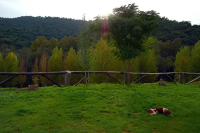 Paisaje cerca de este apartamento