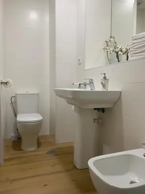 Un baño de APARTAMENTOS EN ALAMEDA DE HERCULES SEVILLa