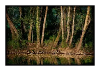 Paisaje cerca of this country house