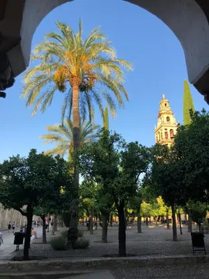 Un lugar de interés cerca de este apartamento